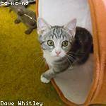 Dusty Marvin Profile Picture
