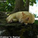 Johathan Kub Profile Picture
