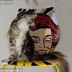 Jacquelyn Ullrich Profile Picture